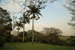 Bethany Farm - Farmhouse - Hagemann family - gardens (3)