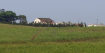 Emeraldine Poultry Farm - D29 - S29.15.19 E 31.23.04 - Tugela district - Elev 56m (2)