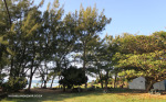 Zinkwazi-Beach-Picnic-site8