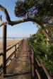 Zinkwazi-Beach-and-Lagoon-boardwalk2