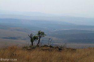 Melmoth -  Area Forts & Graves 